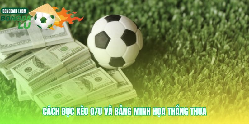 Biến những con số phức tạp thành kịch bản rõ ràng