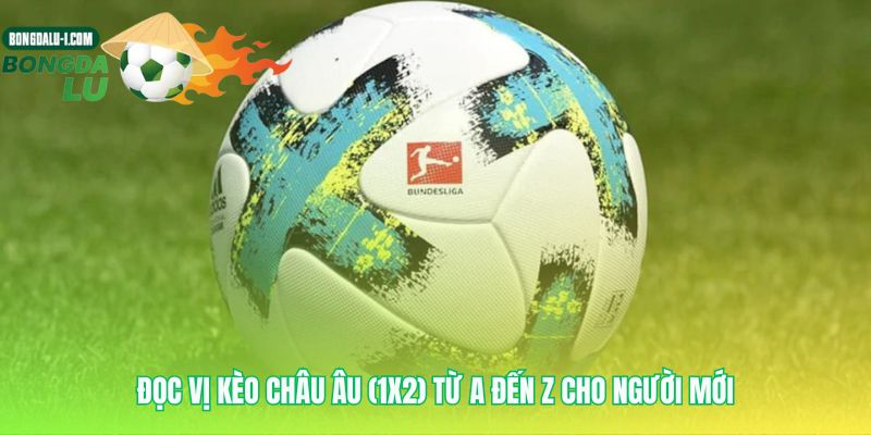 Giải mã ngôn ngữ của nhà cái qua ba cửa cược