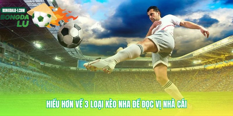Ngôn ngữ cược chung mà mọi nhà cái đều sử dụng