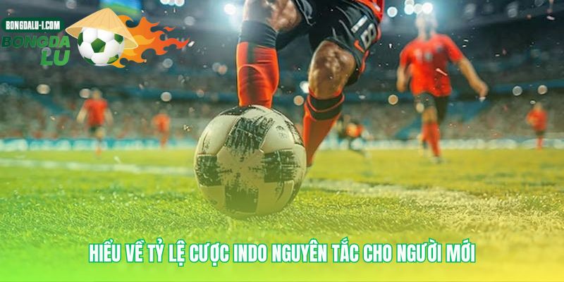 Phiên dịch ngôn ngữ của những con số
