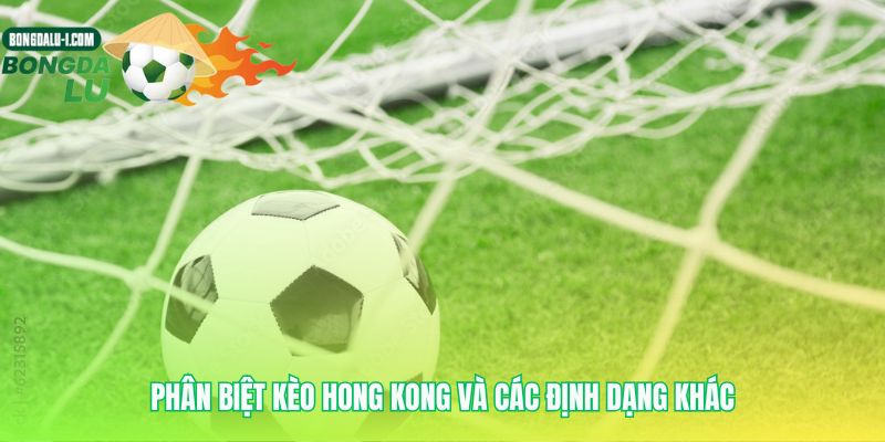 Hiểu rõ tỷ lệ cược Hong Kong trong bức tranh chung