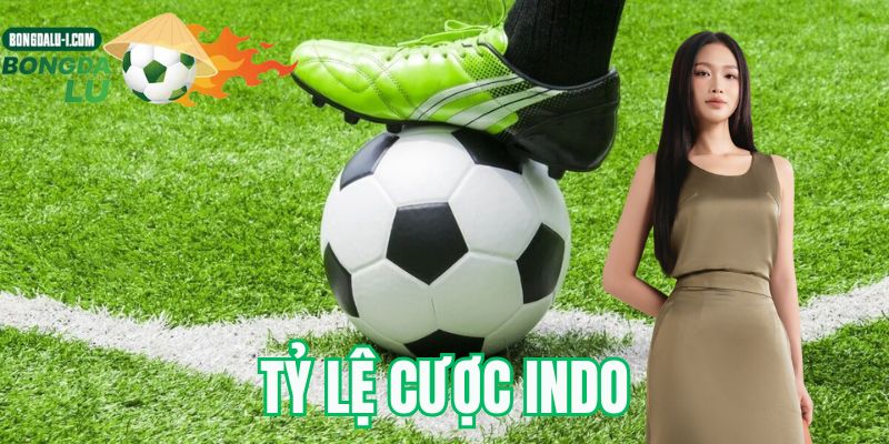 Tỷ lệ cược Indo